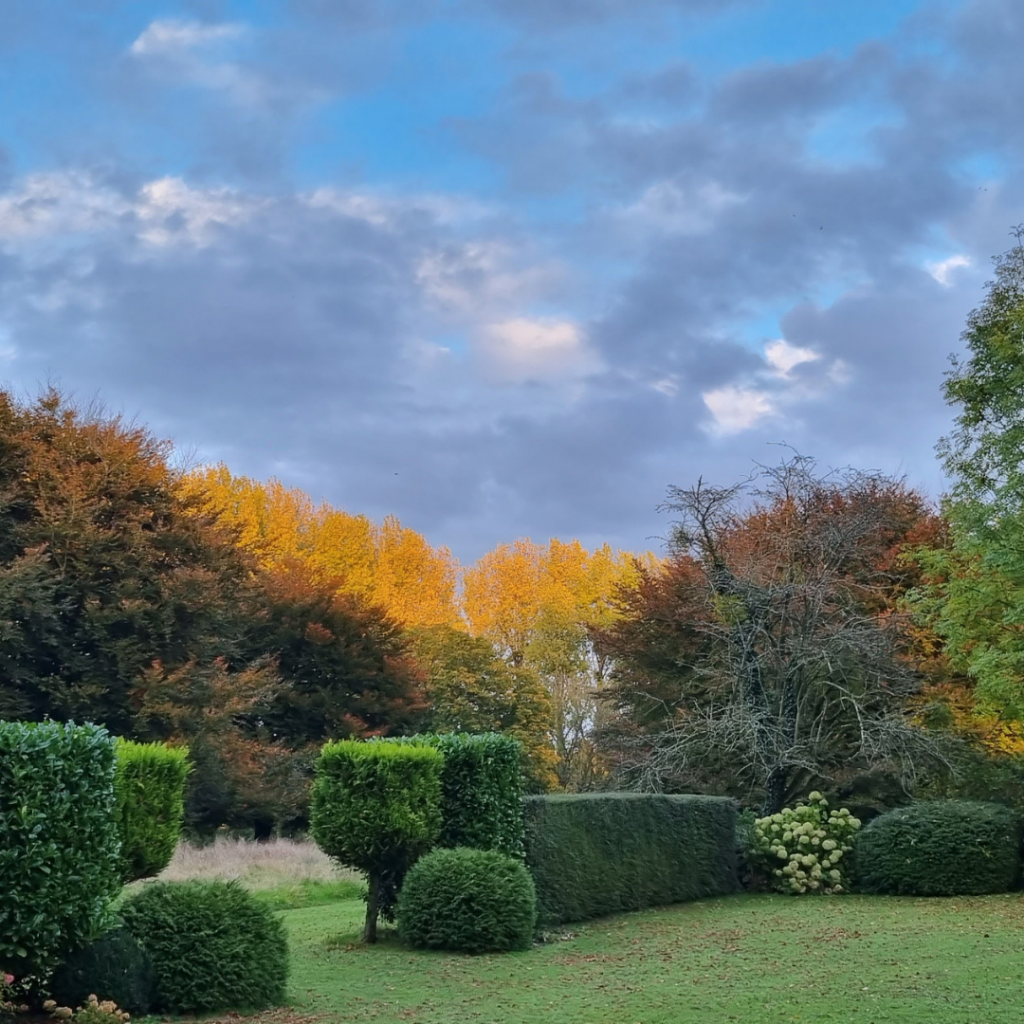 news - domaine des chanoines blancs