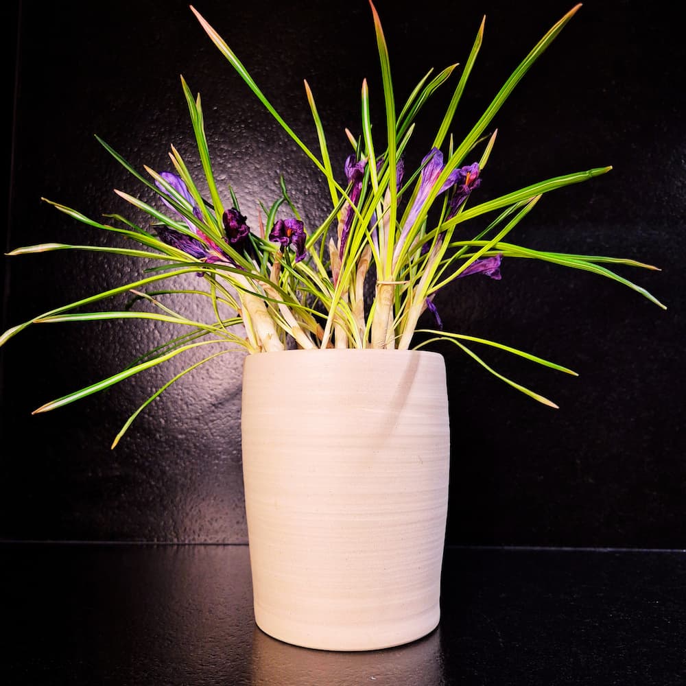 Les vases hautsVendu à l’unité.